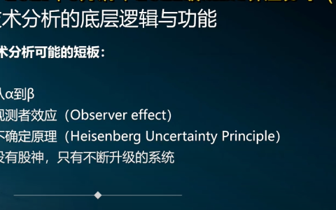 关于猫姐的投资感悟